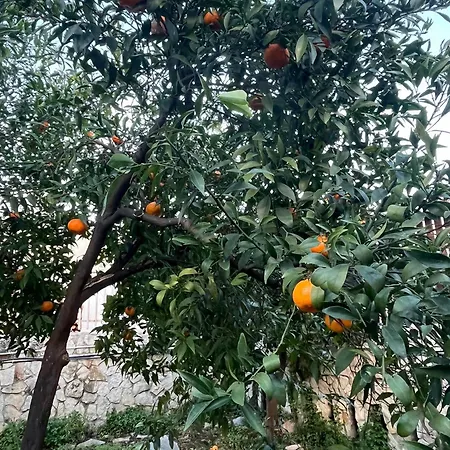 Gardenhouse Divenere * باري